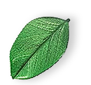 floating_leaf_01 https://fleececleaning.site/wp-content/uploads/2025/07/floating_leaf_01.png